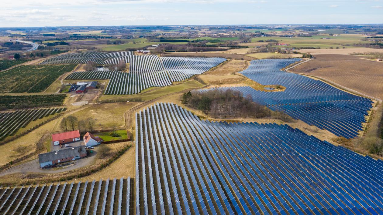 Luftfoto af solparken, som indgår i Silkeborg Forsynings fjernvarmeproduktion. 
